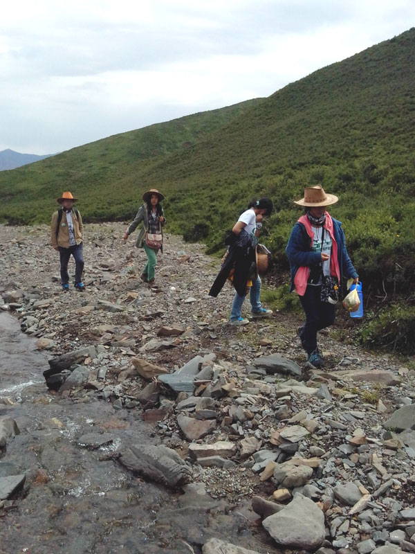 7��22�գ��m�ݴ�W�Gɫ�I�F꠹������c���򌍵��{�С�꠆T�������ص��Ρ����f�ֲ����݈���r������ι�B���h��׃���ȷ����M���˴��µ��˽⡣�D��꠆T���ڮ����M��ֲ����R������