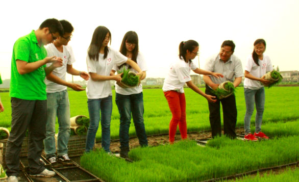 ��ꎎ����WԺ���Gɫ���ۡ����`�־Ը����ˮ�����g�M���w�ʽ������