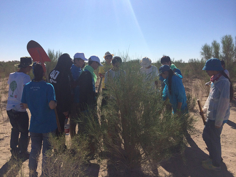 ������Ҫ��һ���ļ��ɺͽ�(j��ng)�(y��n)��ͬ�W(xu��)���_(k��i)ʼ������һƬ�����ַ��ز����^�m(x��)�����[�ص�����