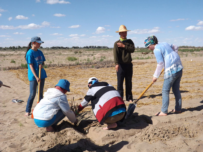 �@�N1.5��Ҋ�������ݸ��ӣ���ɳЧ����á����^4��5���͕��L�g��������Ҫ�����a����