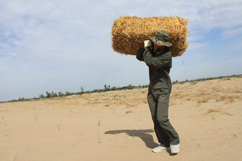 �F(tu��n)�T���i�������ݣ����ϳ����ģ����������؟(z��)�Ρ�